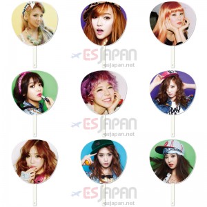I Got a Boy - Fan